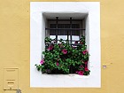 Bild: Blumenfenster 01 – Klick zum Vergrößern
