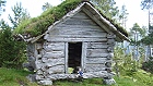Bild: Haus 04 1000jährige Hütte und Schlenkerbiene – Klick zum Vergrößern