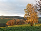 Bild: Herbstlandschaft 01 – Klick zum Vergrößern