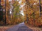 Bild: Herbstwaldweg – Klick zum Vergrößern