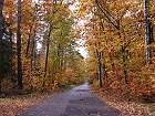 Bild: Herbstwaldweg&nbsp;&ndash; Klick zum Vergr&ouml;&szlig;ern