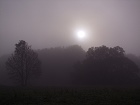 Bild: Nebel 01 – Klick zum Vergrößern
