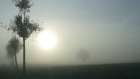 Bild: Nebelmorgen – Klick zum Vergrößern