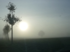 Bild: Nebelmorgen – Klick zum Vergrößern