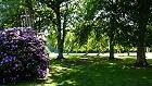 Bild: Rhododentron im Park – Klick zum Vergrößern