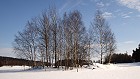 Bild: W&auml;ldchen im Winter&nbsp;&ndash; Klick zum Vergr&ouml;&szlig;ern