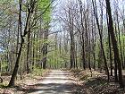 Bild: FWaldweg 1&nbsp;&ndash; Klick zum Vergr&ouml;&szlig;ern