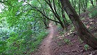 Bild: Waldweg 04&nbsp;&ndash; Klick zum Vergr&ouml;&szlig;ern