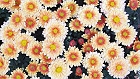 Bild: Blume 43 – Klick zum Vergrößern