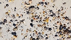Bild: Sand Steine Muscheln 03 – Klick zum Vergrößern