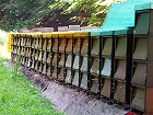 Bild: Bienenstock 03&nbsp;&ndash; Klick zum Vergr&ouml;&szlig;ern