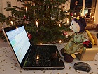 Bild: Weihnachtslaptopschlenkerbiene – Klick zum Vergrößern