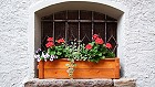 Bild: Blumenfenster 02 – Klick zum Vergrößern