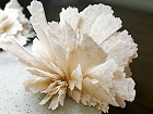 Bild: Mineral 06 – Klick zum Vergrößern