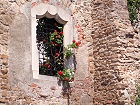 Bild: Rosenfenster – Klick zum Vergrößern