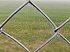 Bild: Spinnennetz 02 – Klick zum Vergrößern