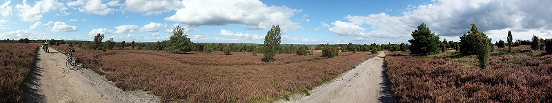 Lüneburger Heide (Deutschland)