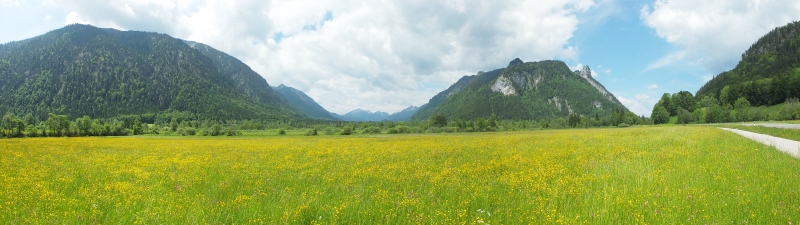 Oberammergau: Weidmoos (Deutschland)