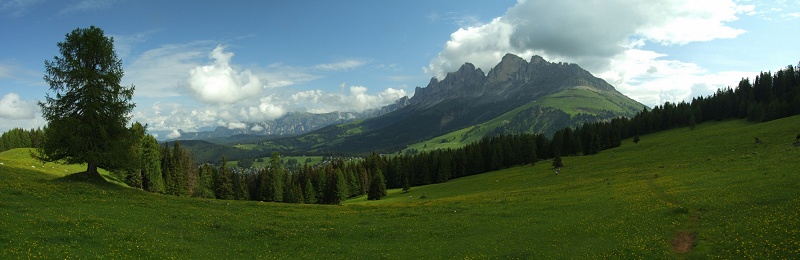 Rosengarten (Südtirol) 5
